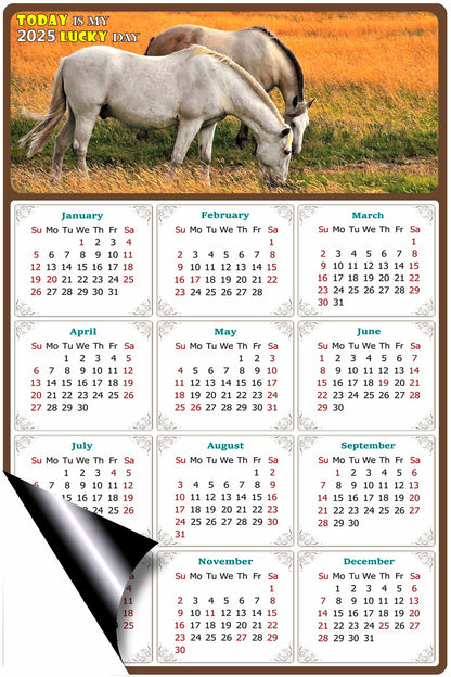 2025 Magnetic Calendar - Calendar Magnets - Today is my Lucky Day - (Fade, Tear, and Water Resistant) - Horses Themed 013