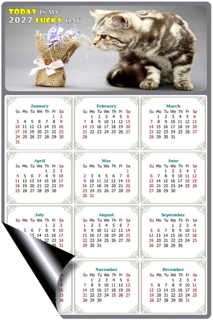2027 Magnetic Calendar - Today is My Lucky Day (Fade, Tear, and Water Resistant)- Cat Themed 025