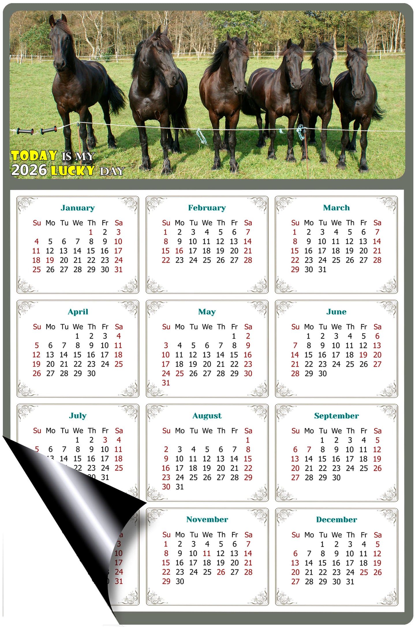 2026 Magnetic Calendar - Calendar Magnets - Today is my Lucky Day - (Fade, Tear, and Water Resistant) - Horses Themed 06