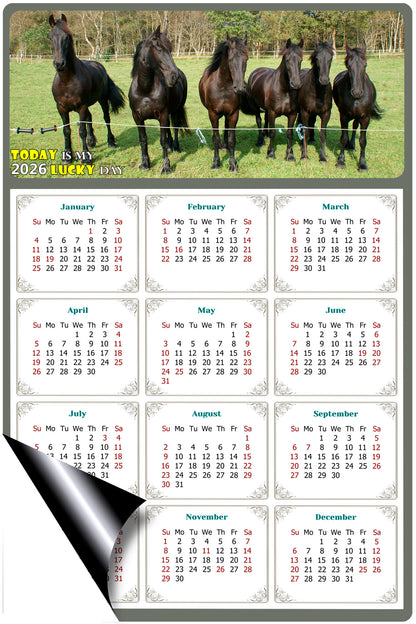 2026 Magnetic Calendar - Calendar Magnets - Today is my Lucky Day - (Fade, Tear, and Water Resistant) - Horses Themed 06