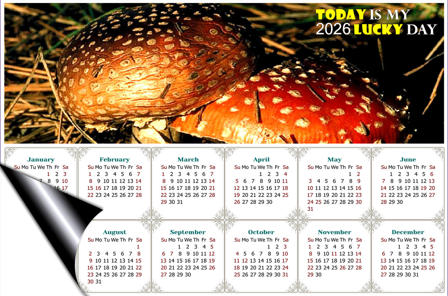 2026 Magnetic Calendar - Calendar Magnets - Today is my Lucky Day - Edition #38