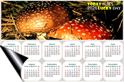 2026 Magnetic Calendar - Calendar Magnets - Today is my Lucky Day - Edition #38