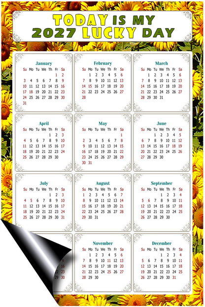 2027 Magnetic Calendar - Calendar Magnets - Today is my Lucky Day - (Fade, Tear, and Water Resistant) - Themed 030