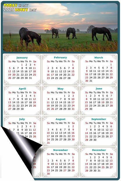 2025 Magnetic Calendar - Calendar Magnets - Today is my Lucky Day - (Fade, Tear, and Water Resistant) - Horses Themed 04