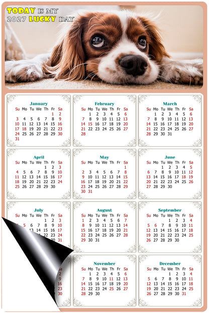 2027 Magnetic Calendar - Today is My Lucky Day (Fade, Tear, and Water Resistant)- Dogs Themed 01