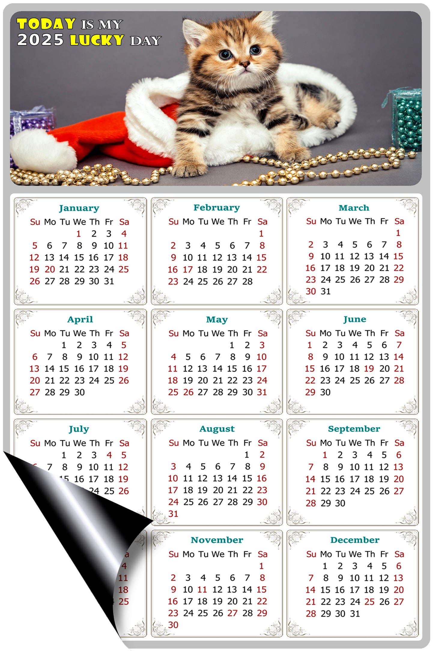 2025 Magnetic Calendar - Today is My Lucky Day (Fade, Tear, and Water Resistant)- Cat Themed 023
