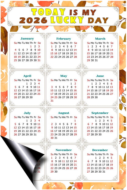 2026 Peel & Stick Calendar - Today is my Lucky Day Removable - 022