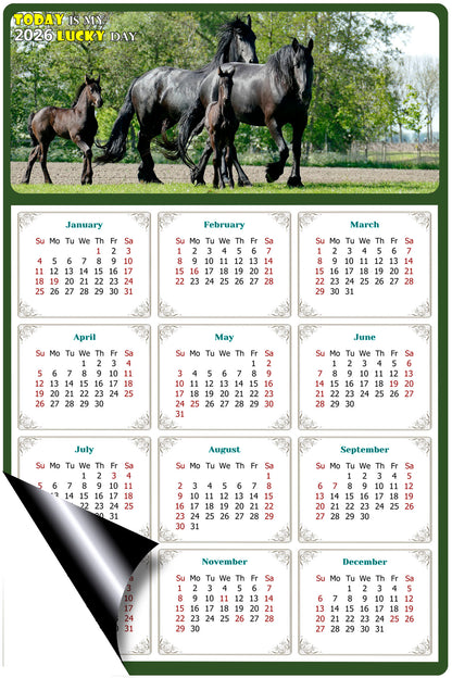 2026 Magnetic Calendar - Calendar Magnets - Today is my Lucky Day - (Fade, Tear, and Water Resistant) - Horses Themed 05