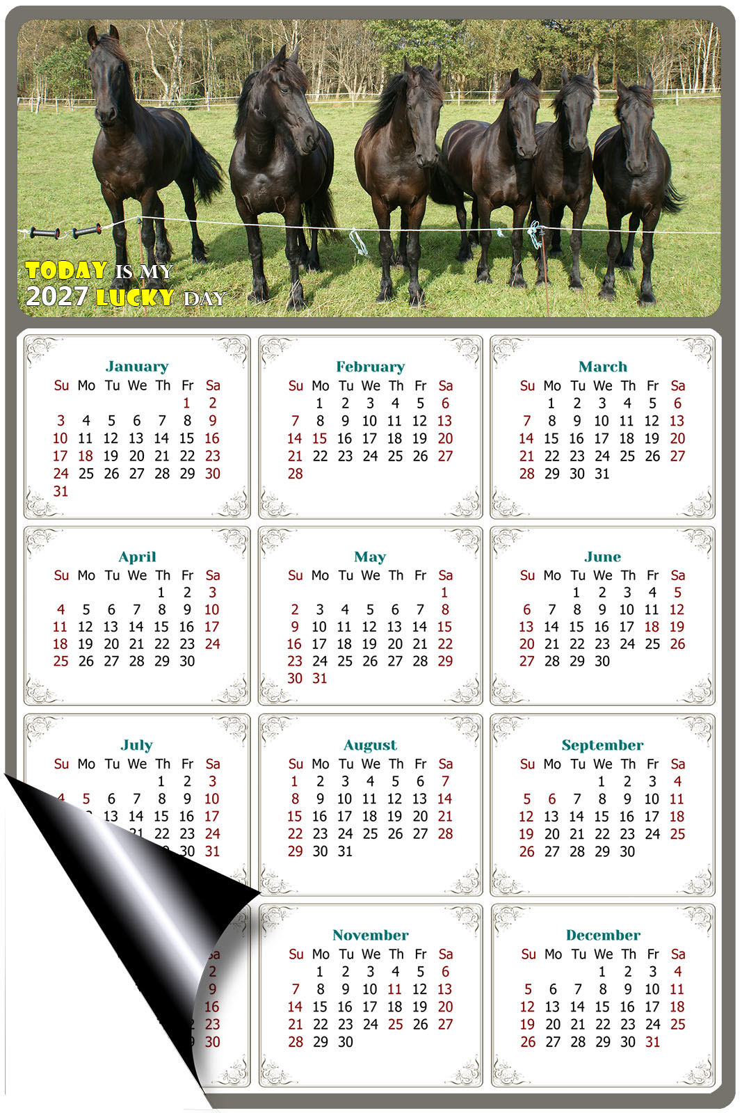 2027 Magnetic Calendar - Calendar Magnets - Today is my Lucky Day - (Fade, Tear, and Water Resistant) - Horses Themed 06