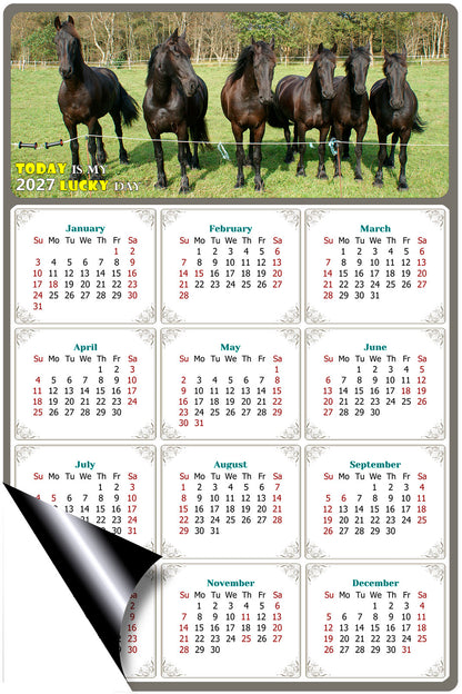 2027 Magnetic Calendar - Calendar Magnets - Today is my Lucky Day - (Fade, Tear, and Water Resistant) - Horses Themed 06