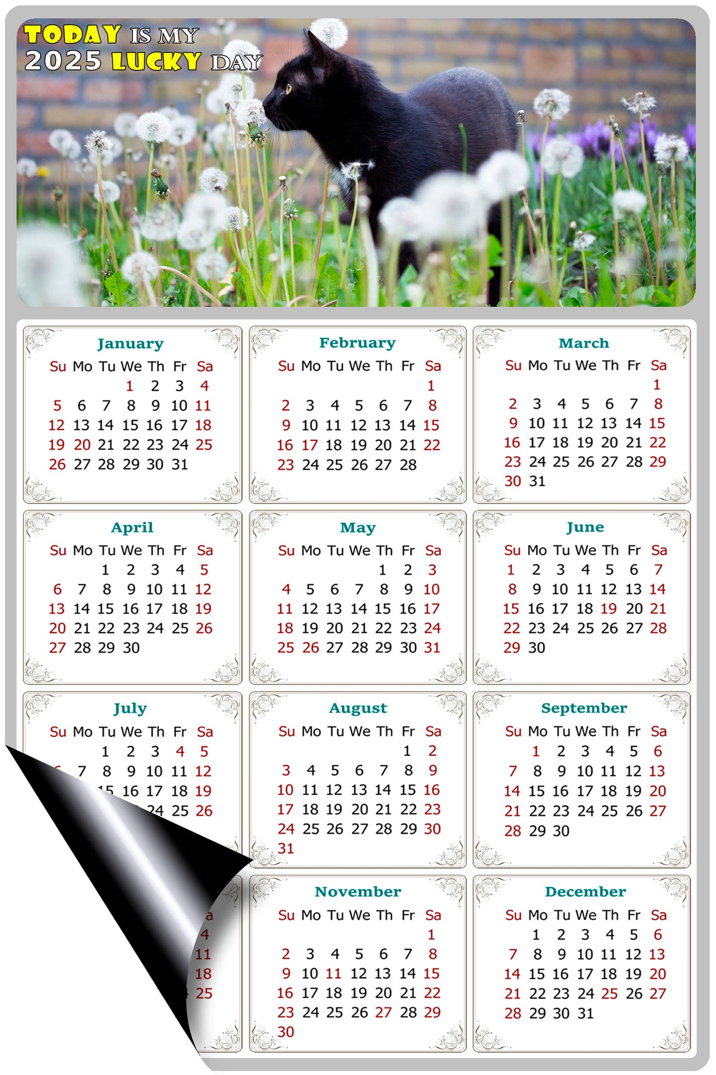 2025 Magnetic Calendar - Today is My Lucky Day (Fade, Tear, and Water Resistant)- Cat Themed 05
