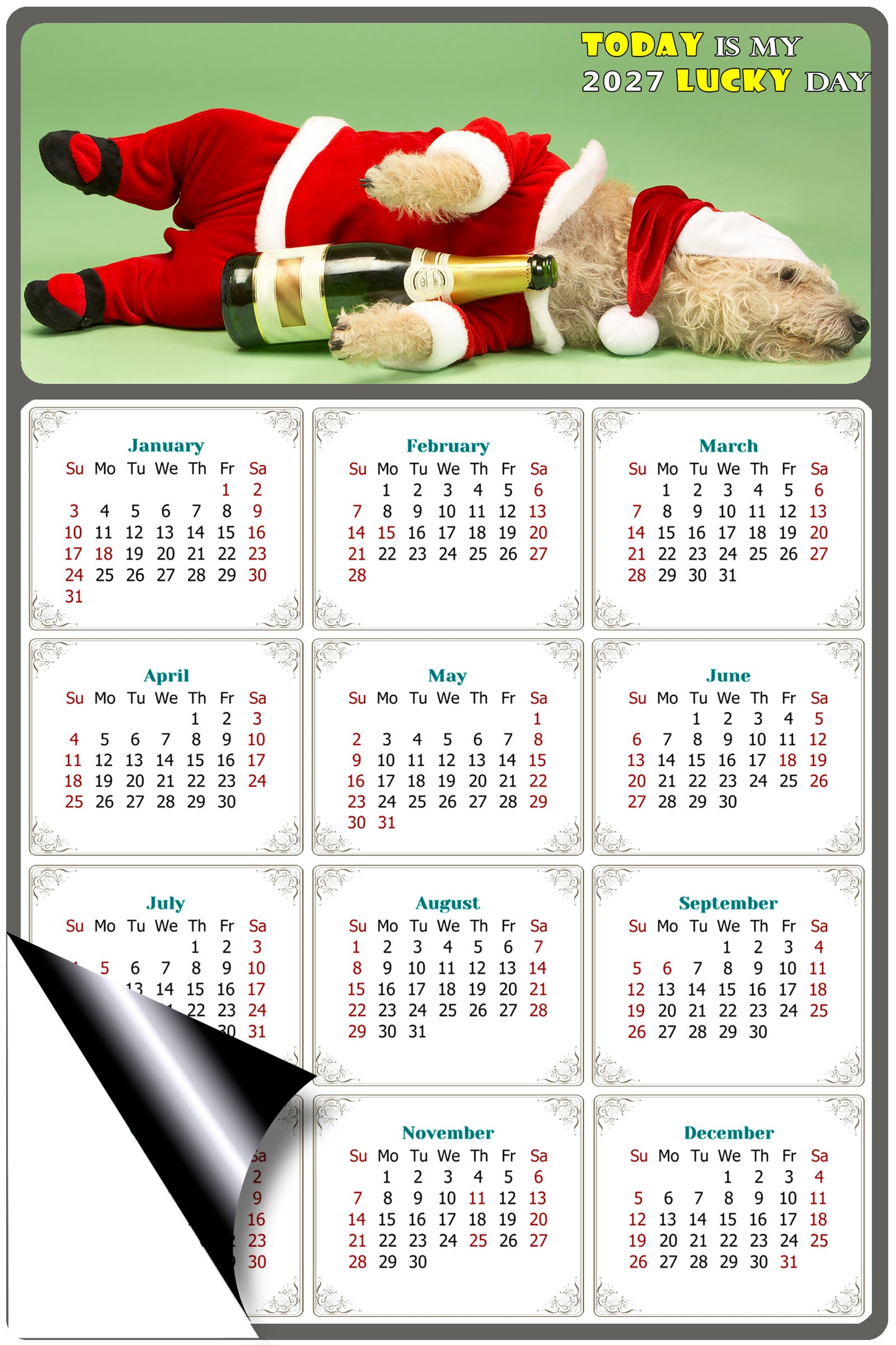 2027 Magnetic Calendar - Today is My Lucky Day (Fade, Tear, and Water Resistant)- Dogs Themed 014