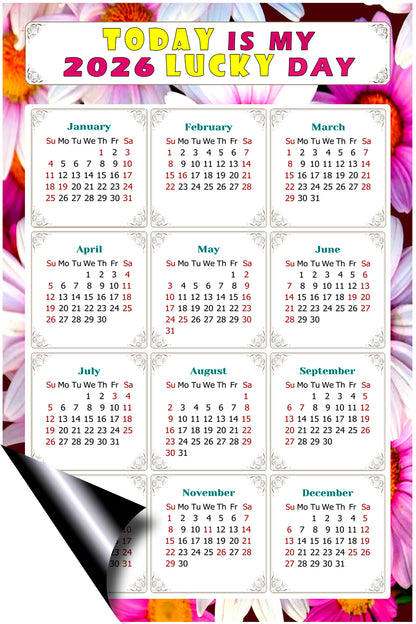 2026 Magnetic Calendar - Calendar Magnets - Today is my Lucky Day - (Fade, Tear, and Water Resistant) - Themed 032