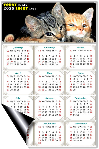 2025 Magnetic Calendar - Today is My Lucky Day (Fade, Tear, and Water Resistant)- Cat Themed 010