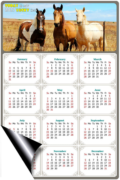2027 Magnetic Calendar - Calendar Magnets - Today is my Lucky Day - (Fade, Tear, and Water Resistant) - Horses Themed 07