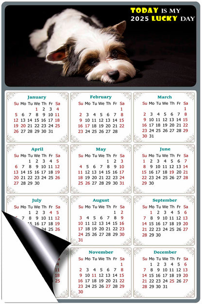 2025 Magnetic Calendar - Today is My Lucky Day (Fade, Tear, and Water Resistant)- Dogs Themed 018