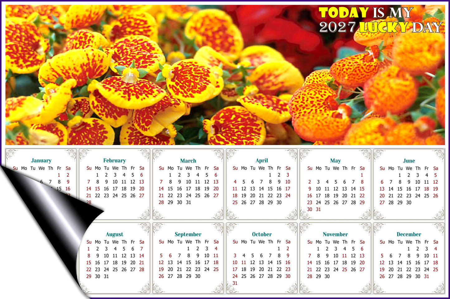 2027 Magnetic Calendar - Calendar Magnets - Today is My Lucky Day - Edition #13
