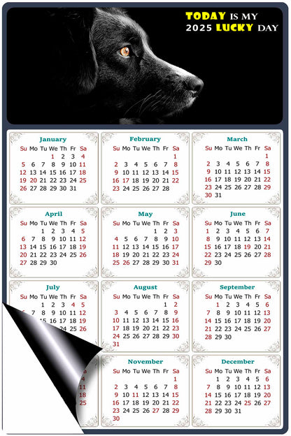 2025 Magnetic Calendar - Today is My Lucky Day (Fade, Tear, and Water Resistant)- Dogs Themed 05