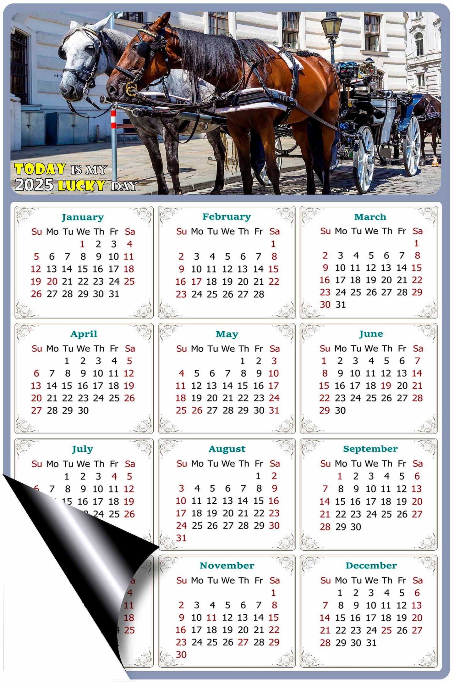 2025 Magnetic Calendar - Calendar Magnets - Today is my Lucky Day - (Fade, Tear, and Water Resistant) - Horses Themed 018