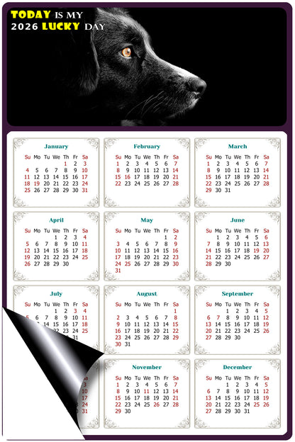 2026 Magnetic Calendar - Today is My Lucky Day (Fade, Tear, and Water Resistant)- Dogs Themed 05