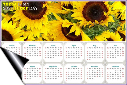 2027 Magnetic Calendar - Calendar Magnets - Today is my Lucky Day - (Fade, Tear, and Water Resistant) - Sunflowers