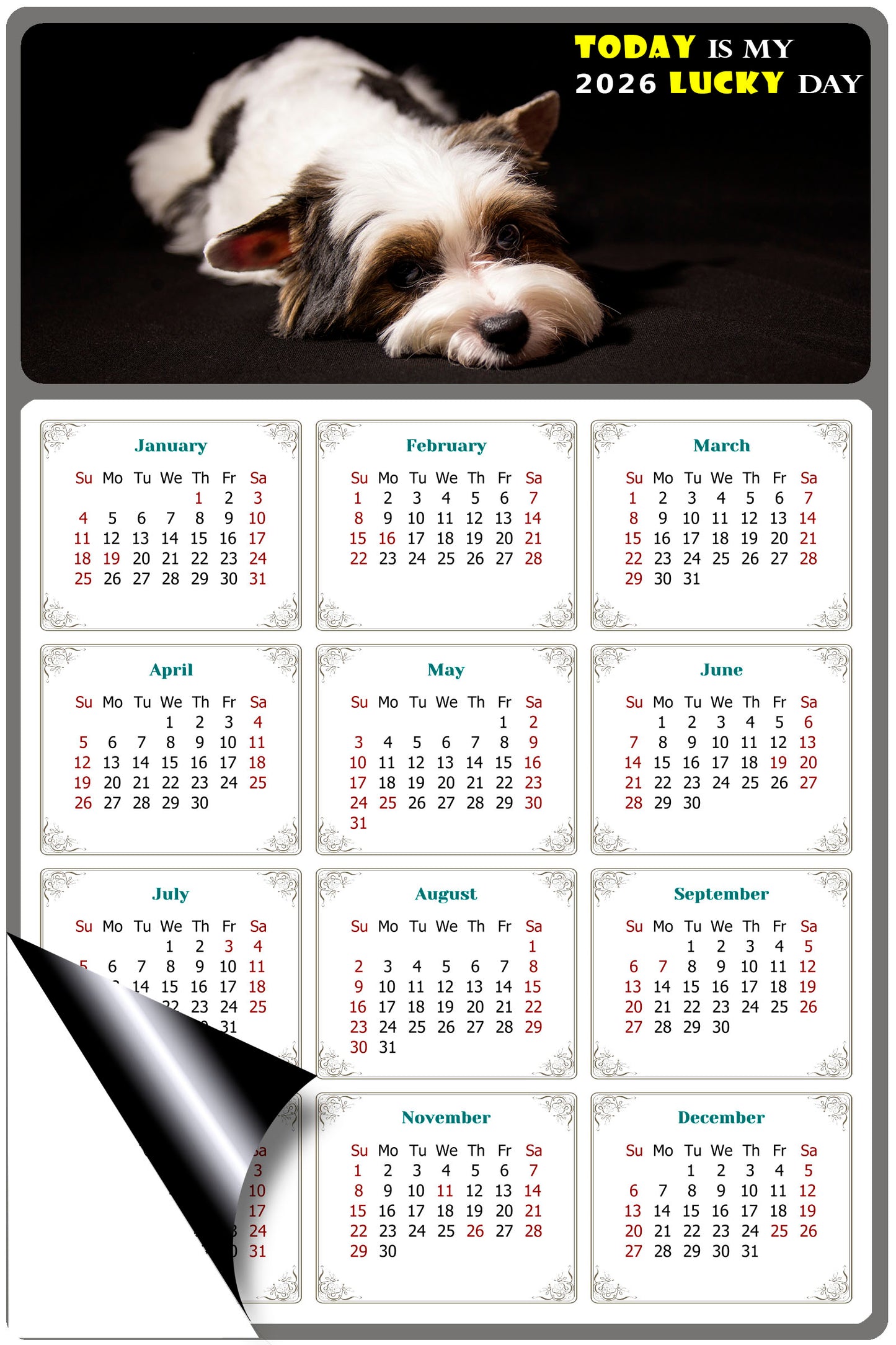 2026 Magnetic Calendar - Today is My Lucky Day (Fade, Tear, and Water Resistant)- Dogs Themed 018