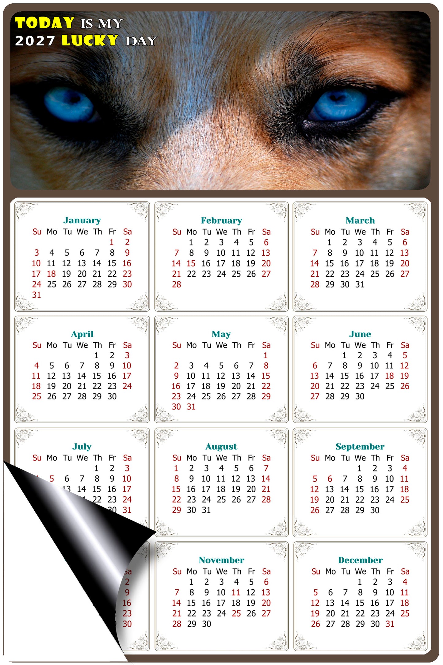 2027 Magnetic Calendar - Today is My Lucky Day (Fade, Tear, and Water Resistant)- Dogs Themed 03