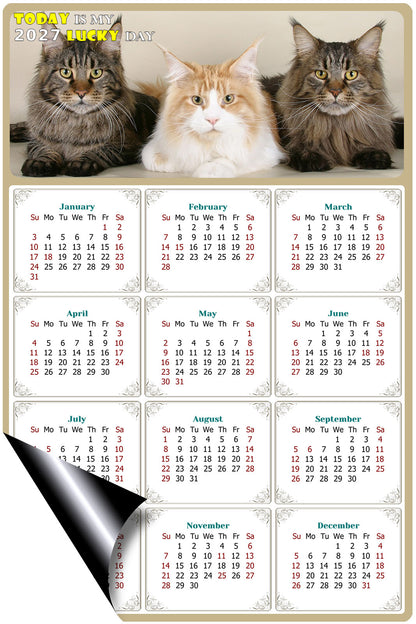 2027 Magnetic Calendar - Today is My Lucky Day (Fade, Tear, and Water Resistant)- Cat Themed 015