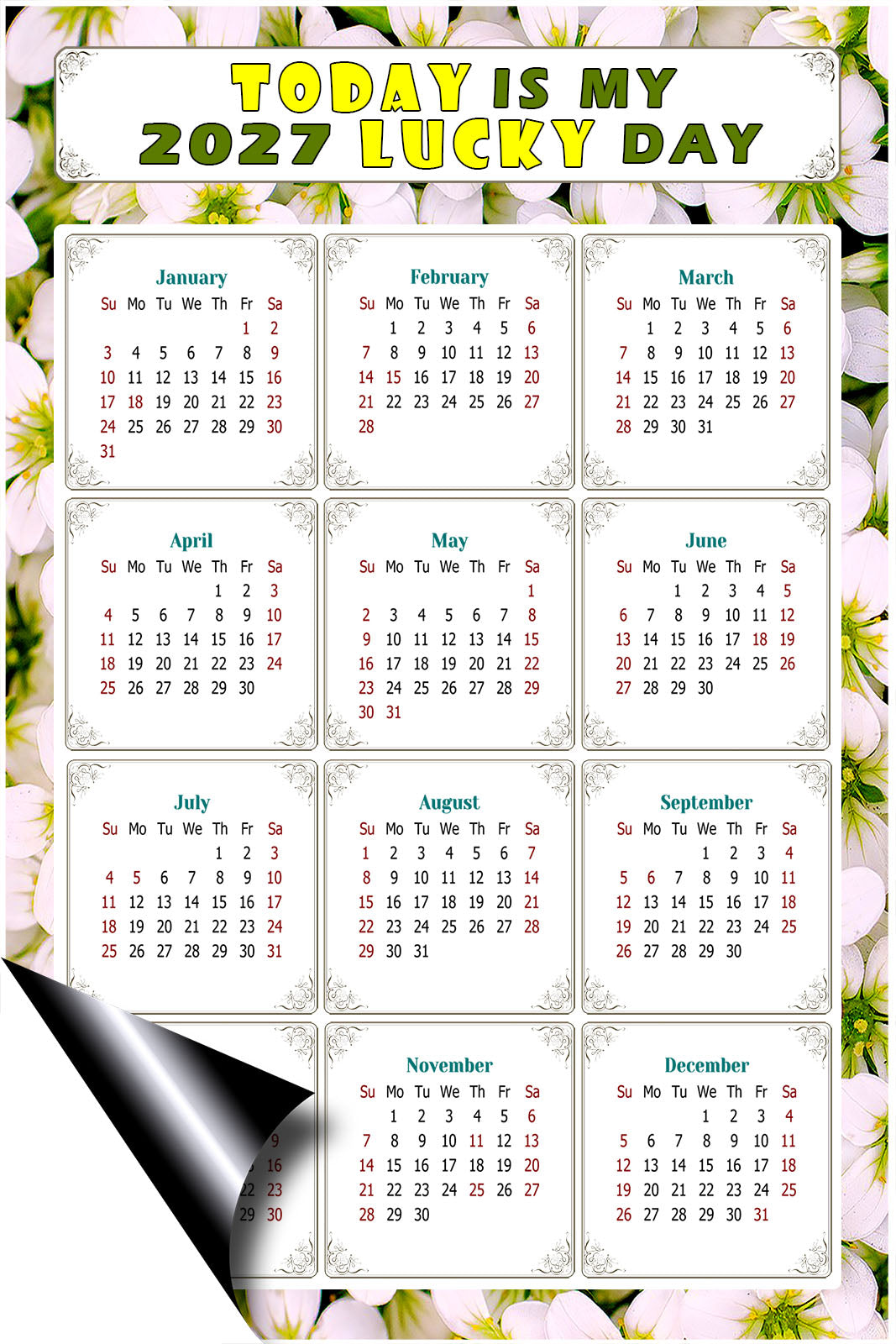 2027 Magnetic Calendar - Calendar Magnets - Today is my Lucky Day - (Fade, Tear, and Water Resistant) - Themed 029