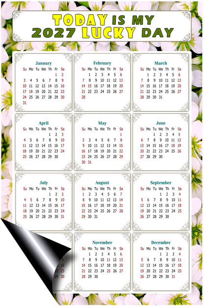 2027 Magnetic Calendar - Calendar Magnets - Today is my Lucky Day - (Fade, Tear, and Water Resistant) - Themed 029