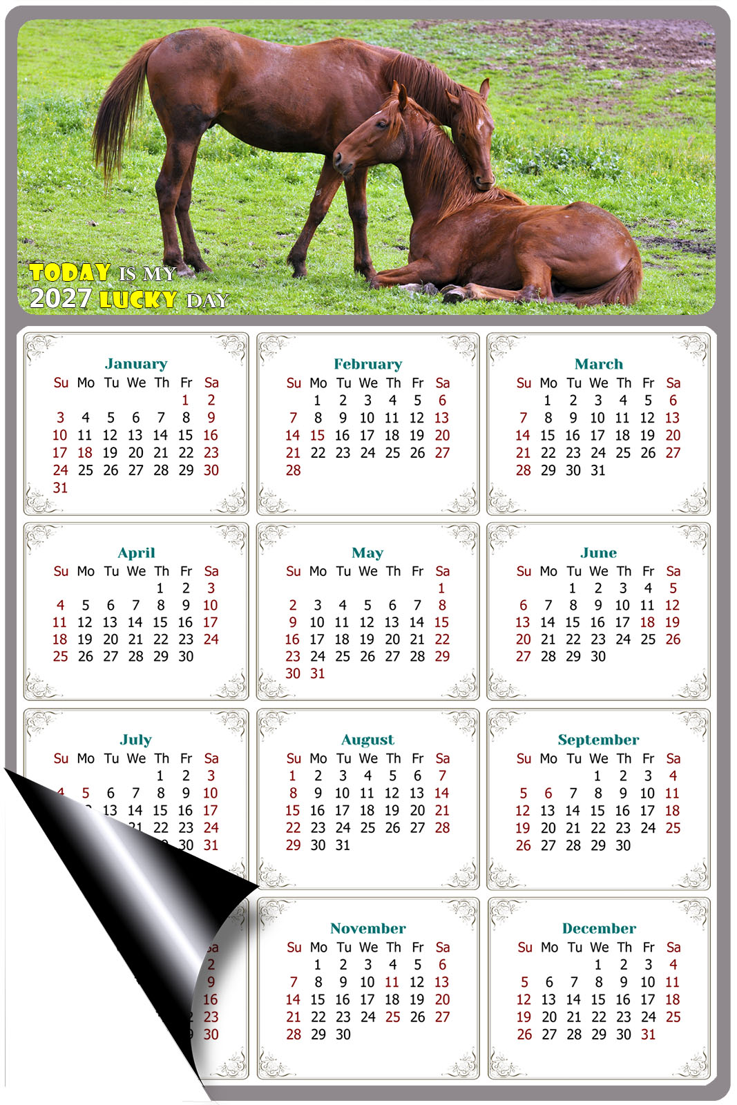 2027 Magnetic Calendar - Calendar Magnets - Today is my Lucky Day - (Fade, Tear, and Water Resistant) - Horses Themed 019