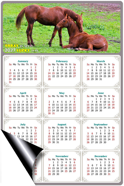 2027 Magnetic Calendar - Calendar Magnets - Today is my Lucky Day - (Fade, Tear, and Water Resistant) - Horses Themed 019