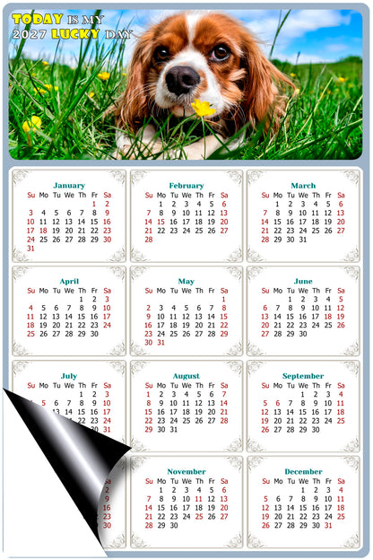 2027 Magnetic Calendar - Today is My Lucky Day (Fade, Tear, and Water Resistant)- Dogs Themed 06