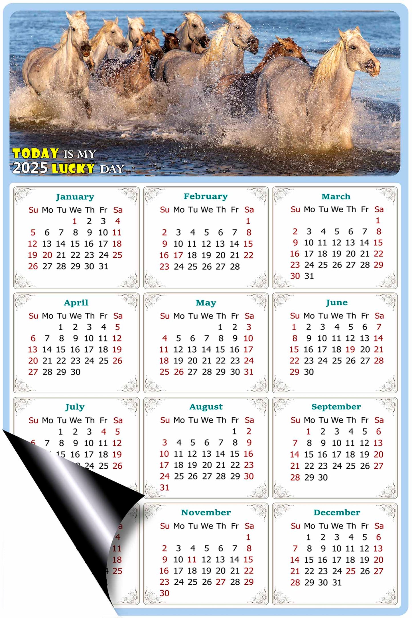 2025 Magnetic Calendar - Calendar Magnets - Today is my Lucky Day - (Fade, Tear, and Water Resistant) - Horses Themed 08