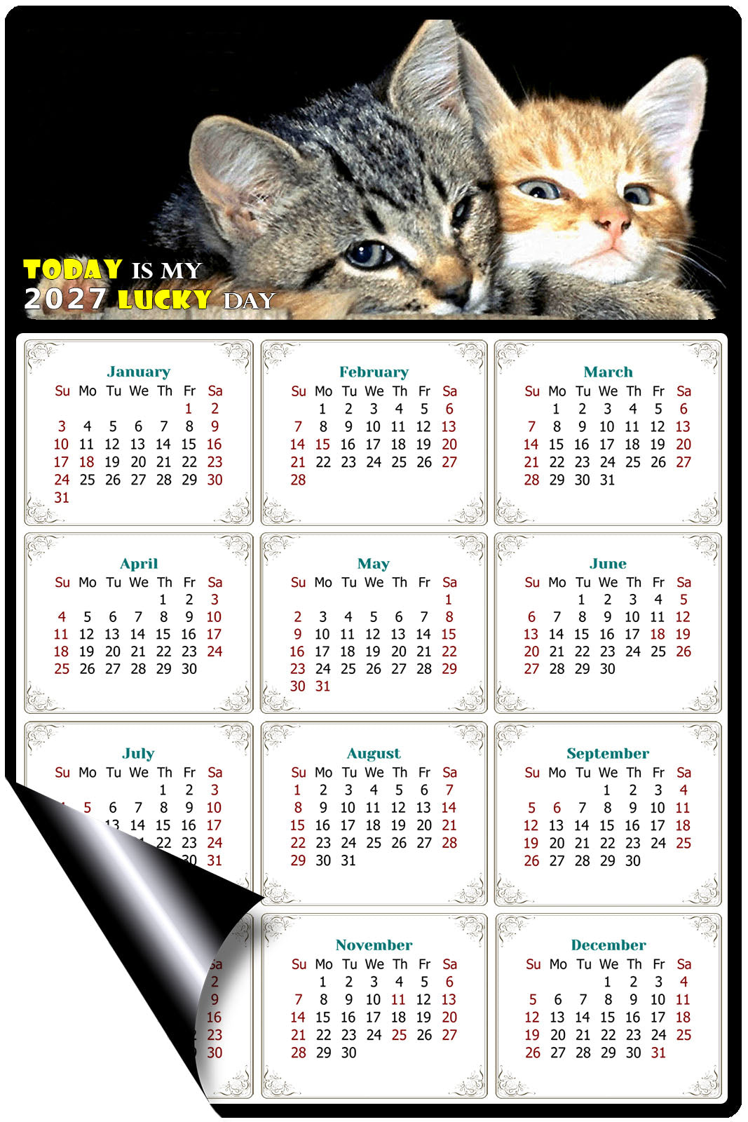 2027 Magnetic Calendar - Today is My Lucky Day (Fade, Tear, and Water Resistant)- Cat Themed 010