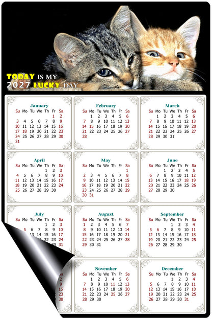 2027 Magnetic Calendar - Today is My Lucky Day (Fade, Tear, and Water Resistant)- Cat Themed 010