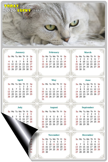 2026 Magnetic Calendar - Today is My Lucky Day (Fade, Tear, and Water Resistant)- Cat Themed 01