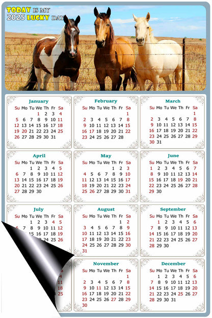2025 Magnetic Calendar - Calendar Magnets - Today is my Lucky Day - (Fade, Tear, and Water Resistant) - Horses Themed 07