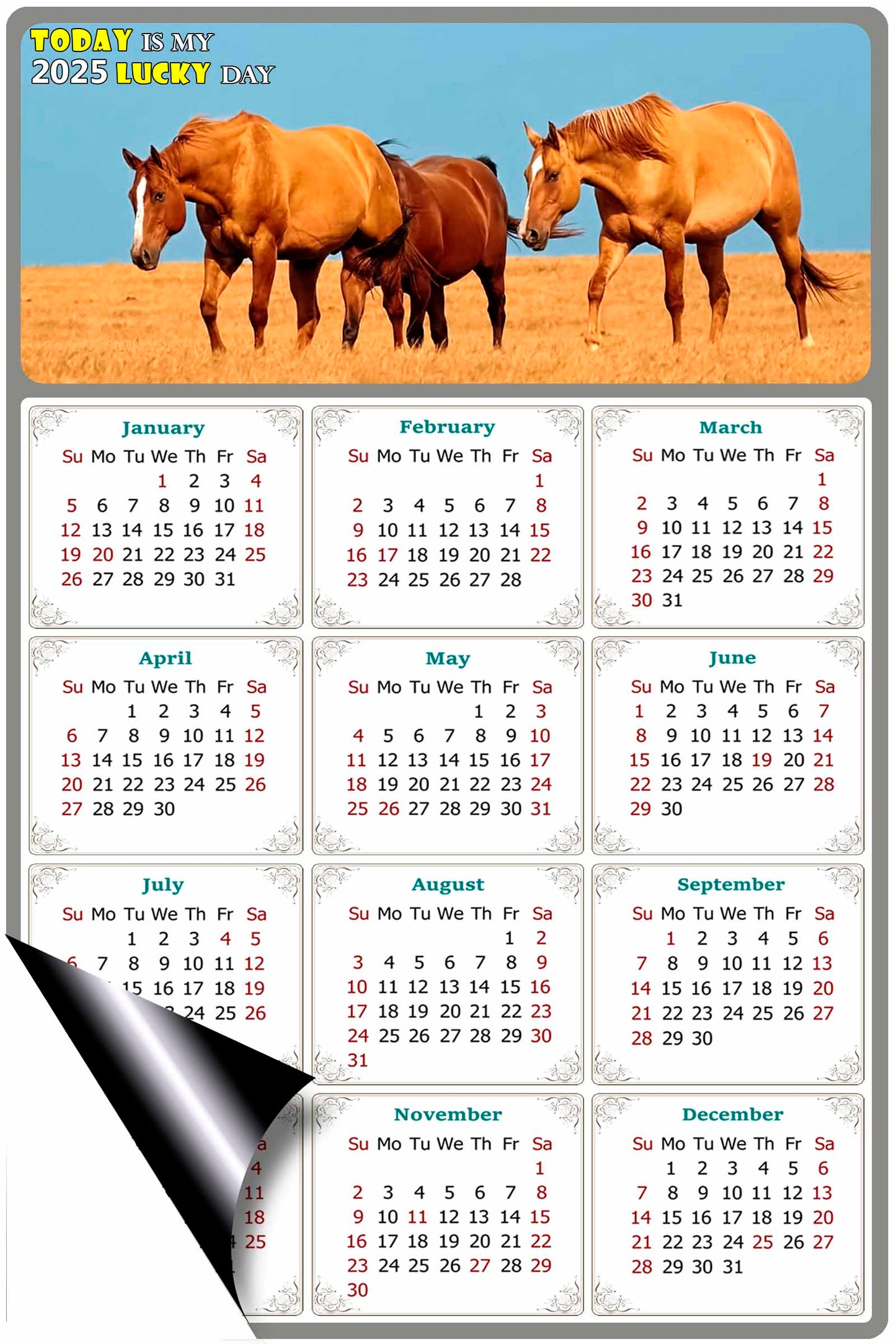 2025 Magnetic Calendar - Calendar Magnets - Today is my Lucky Day - (Fade, Tear, and Water Resistant) - Horses Themed 017