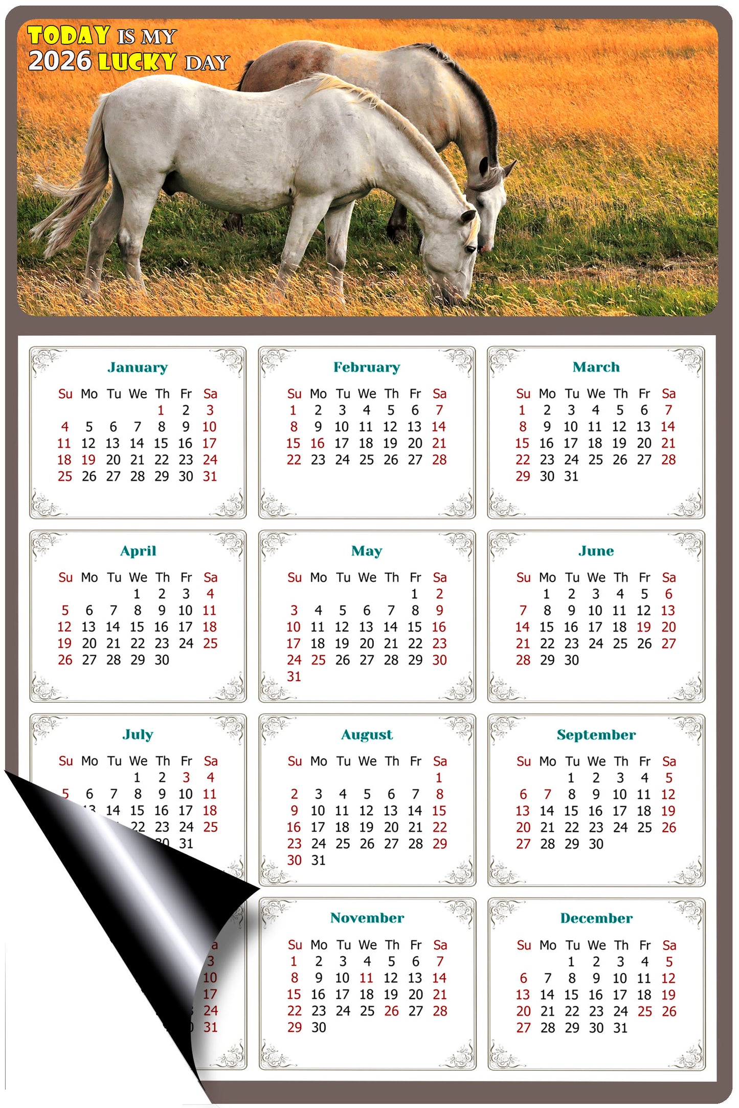 2026 Magnetic Calendar - Calendar Magnets - Today is my Lucky Day - (Fade, Tear, and Water Resistant) - Horses Themed 013