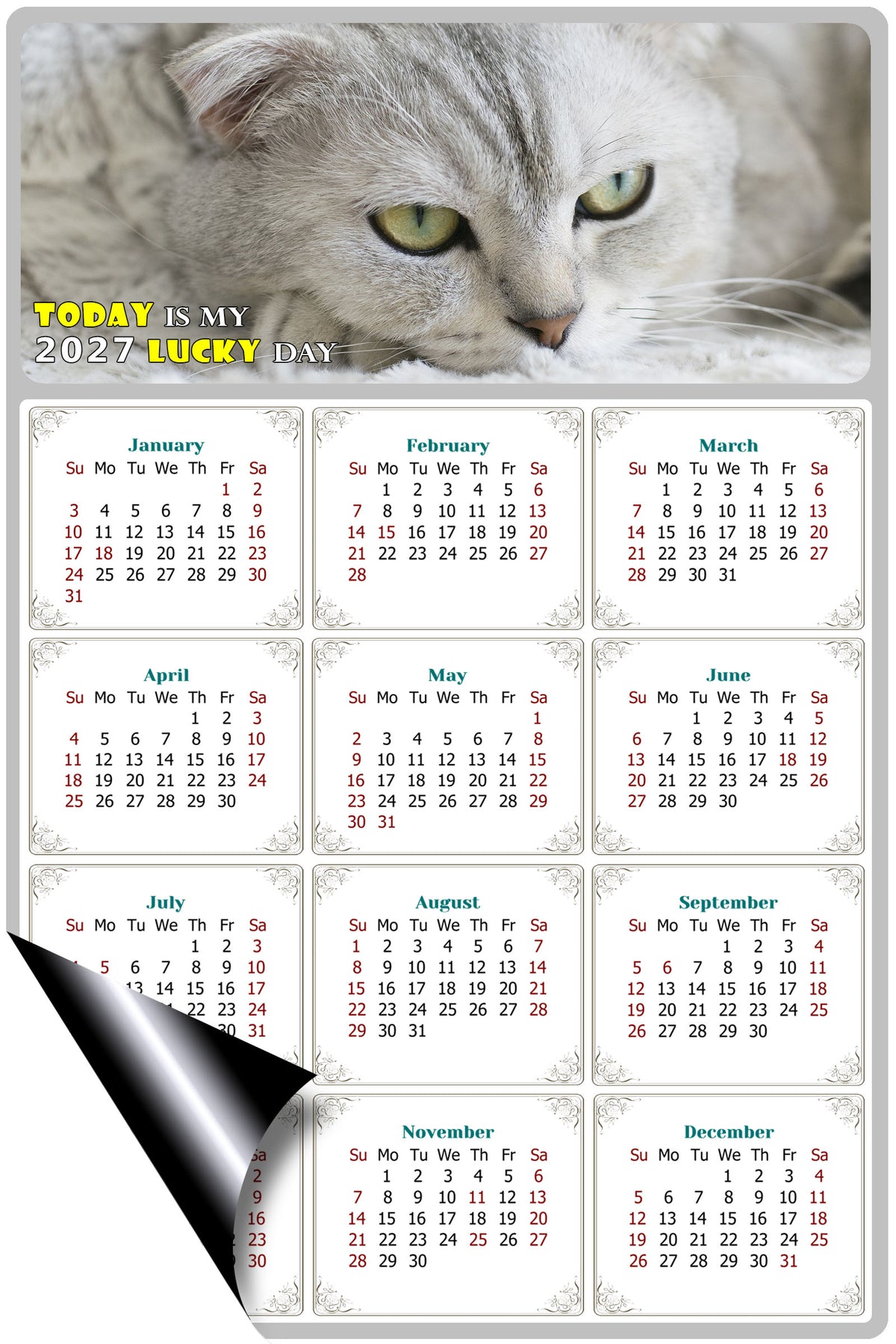 2027 Magnetic Calendar - Today is My Lucky Day (Fade, Tear, and Water Resistant)- Cat Themed 01