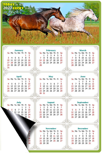 2027 Magnetic Calendar - Calendar Magnets - Today is my Lucky Day - (Fade, Tear, and Water Resistant) - Horses Themed 03