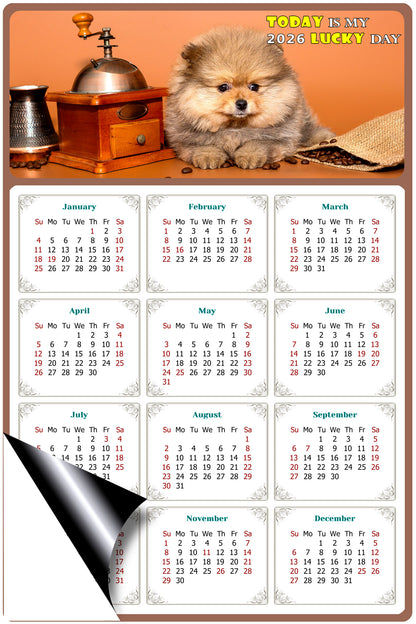 2026 Magnetic Calendar - Today is My Lucky Day (Fade, Tear, and Water Resistant)- Dogs Themed 019