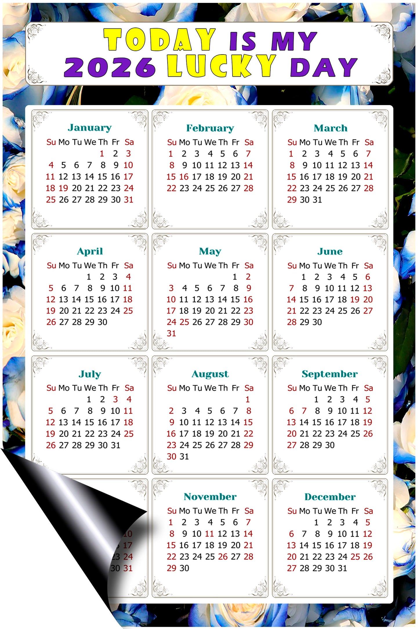 2026 Peel & Stick Calendar - Today is my Lucky Day Removable - 025