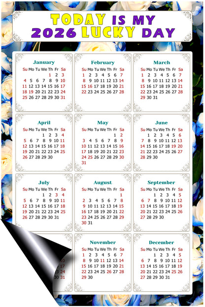 2026 Peel & Stick Calendar - Today is my Lucky Day Removable - 025