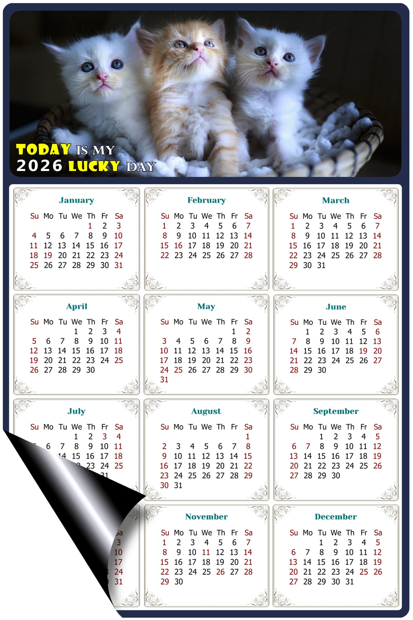 2026 Magnetic Calendar - Today is My Lucky Day (Fade, Tear, and Water Resistant)- Cat Themed 011