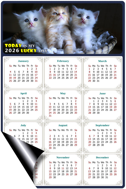 2026 Magnetic Calendar - Today is My Lucky Day (Fade, Tear, and Water Resistant)- Cat Themed 011