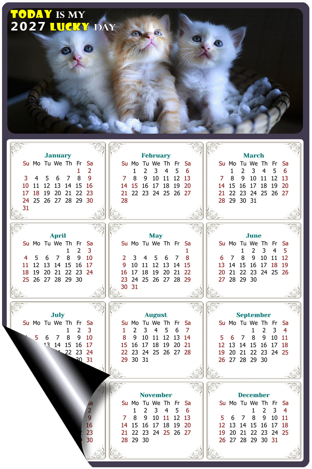 2027 Magnetic Calendar - Today is My Lucky Day (Fade, Tear, and Water Resistant)- Cat Themed 011