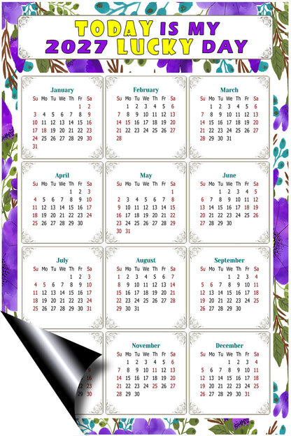 2027 Magnetic Calendar - Calendar Magnets - Today is my Lucky Day - (Fade, Tear, and Water Resistant) - Themed 024