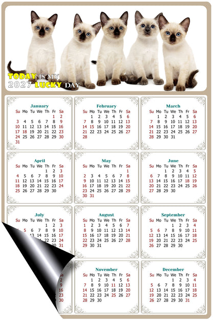 2027 Magnetic Calendar - Today is My Lucky Day (Fade, Tear, and Water Resistant)- Cat Themed 020